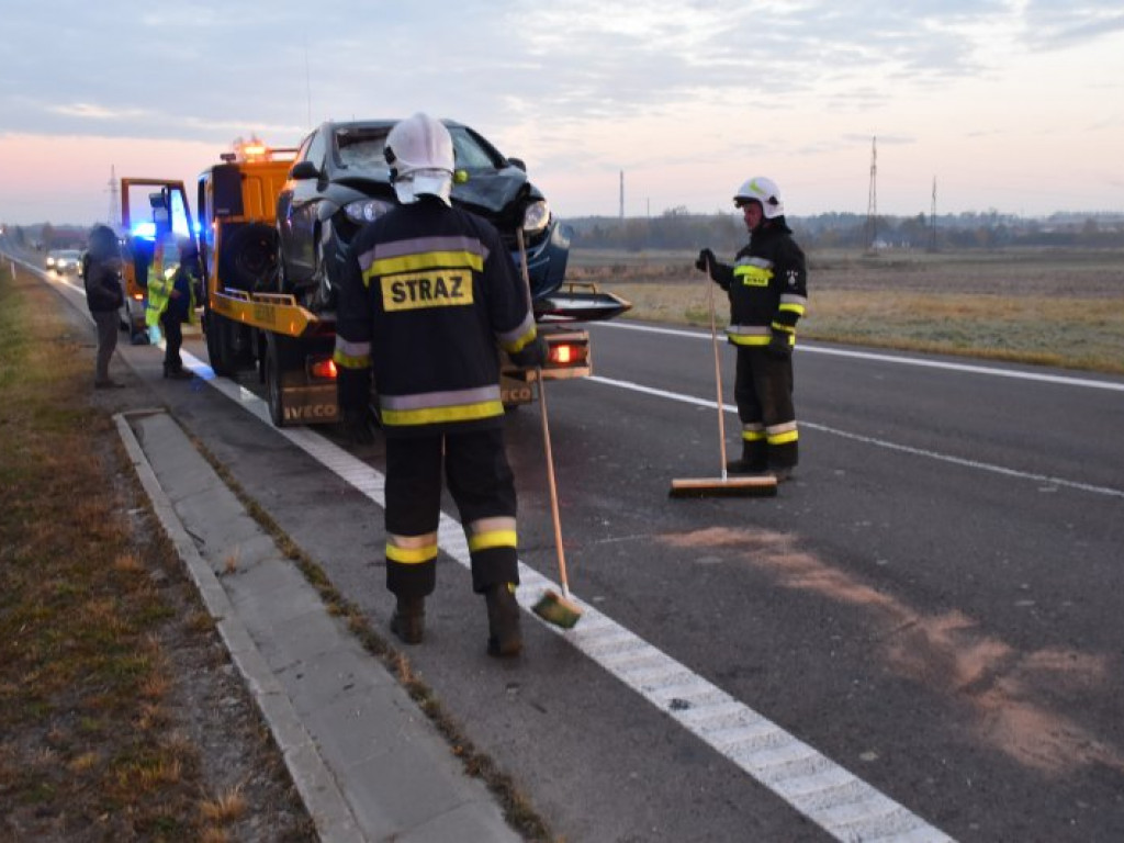 Zderzenie auta z sarną na krajowej 