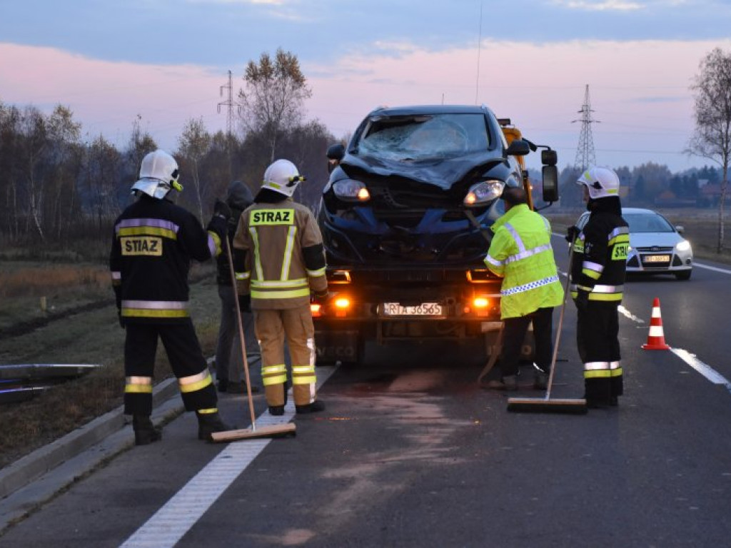 Zderzenie auta z sarną na krajowej 