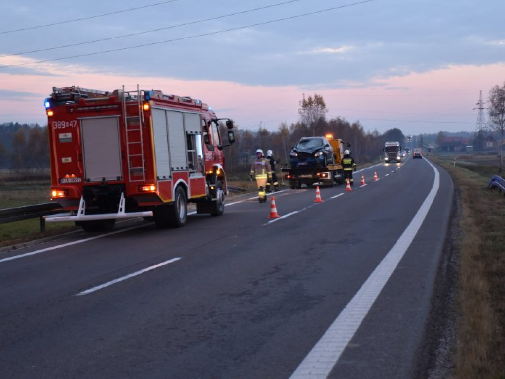 Zderzenie auta z sarną na krajowej 