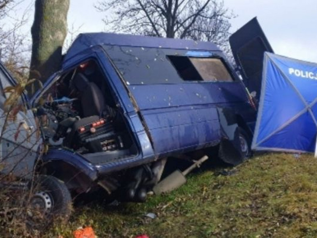 Tragedia w Chańczy. Bus z dużą siłą uderzył w drzewo. Nie żyją dwie osoby [aktualizacja][zdjęcia]