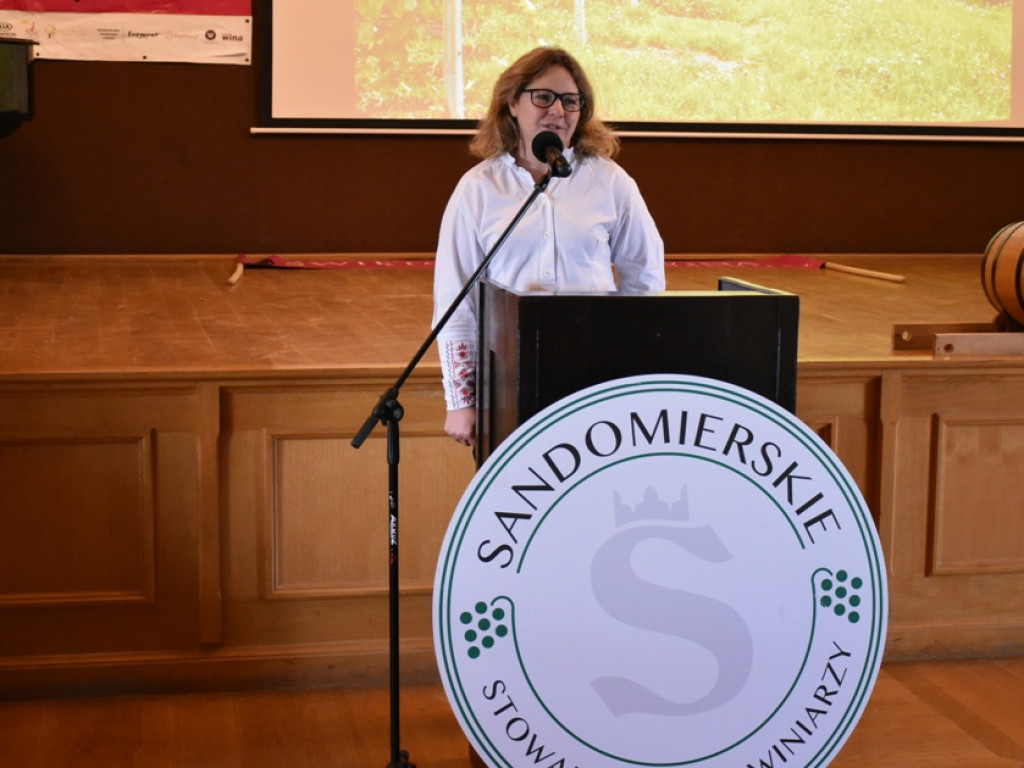 Sandomierz. Święto winiarzy i miłośników wina [zdjęcia]