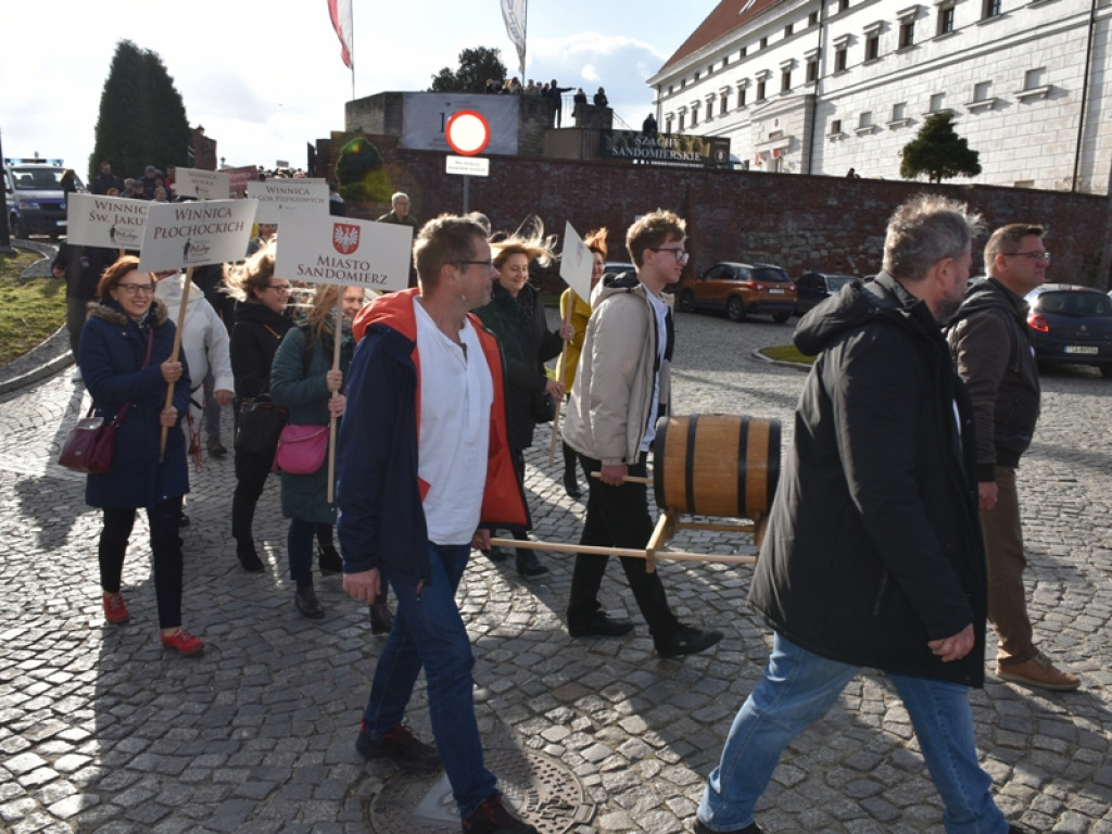 Sandomierz. Święto winiarzy i miłośników wina [zdjęcia]