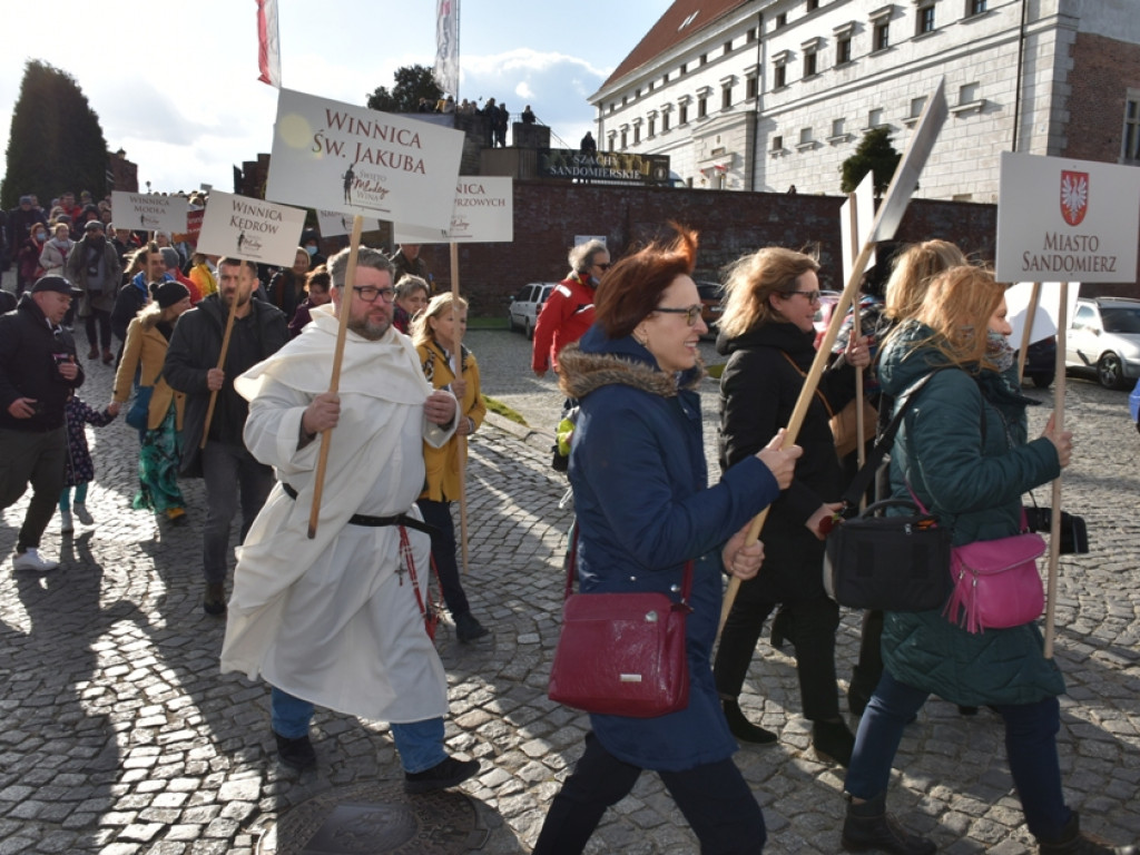 Sandomierz. Święto winiarzy i miłośników wina [zdjęcia]
