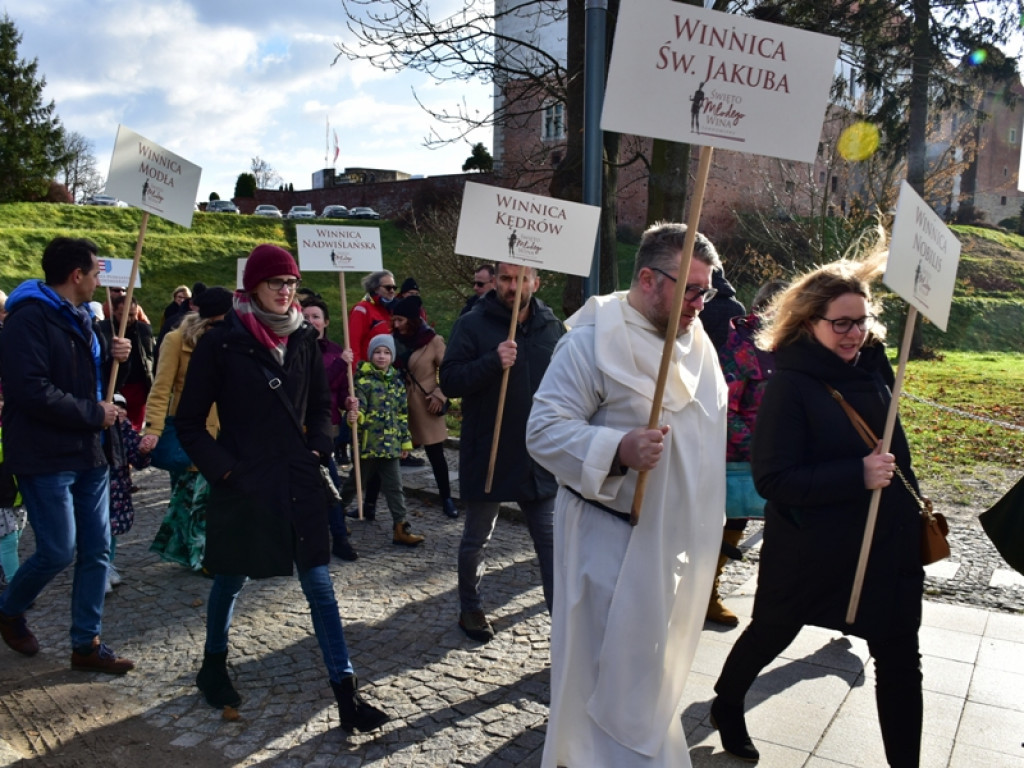 Sandomierz. Święto winiarzy i miłośników wina [zdjęcia]