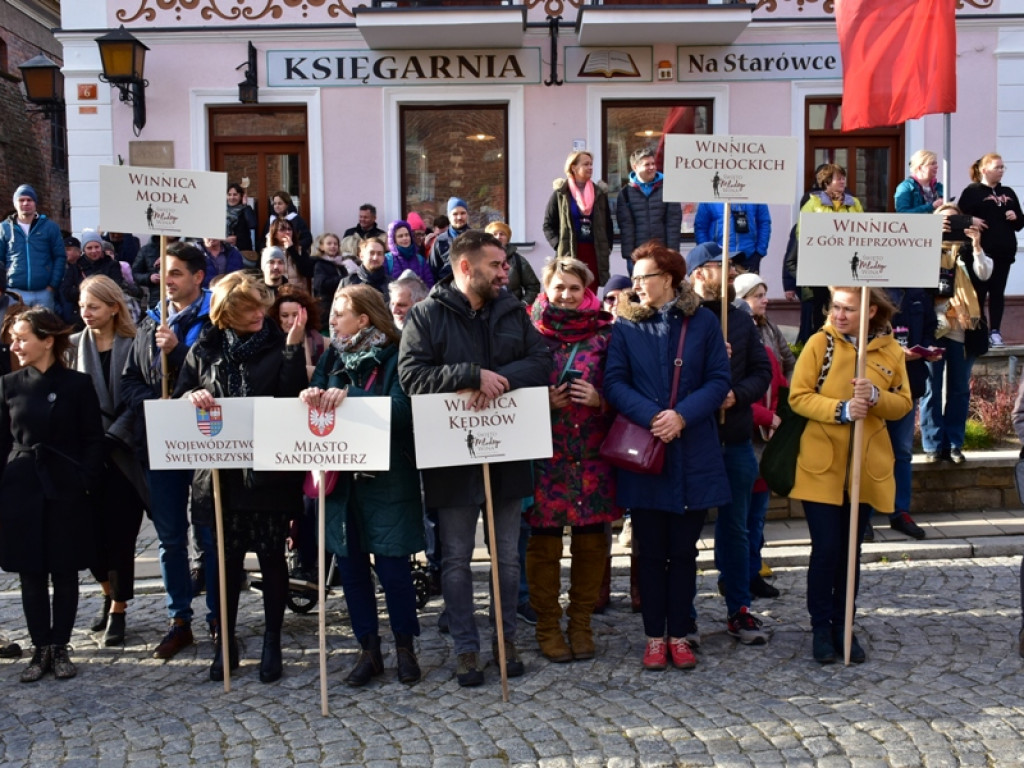 Sandomierz. Święto winiarzy i miłośników wina [zdjęcia]