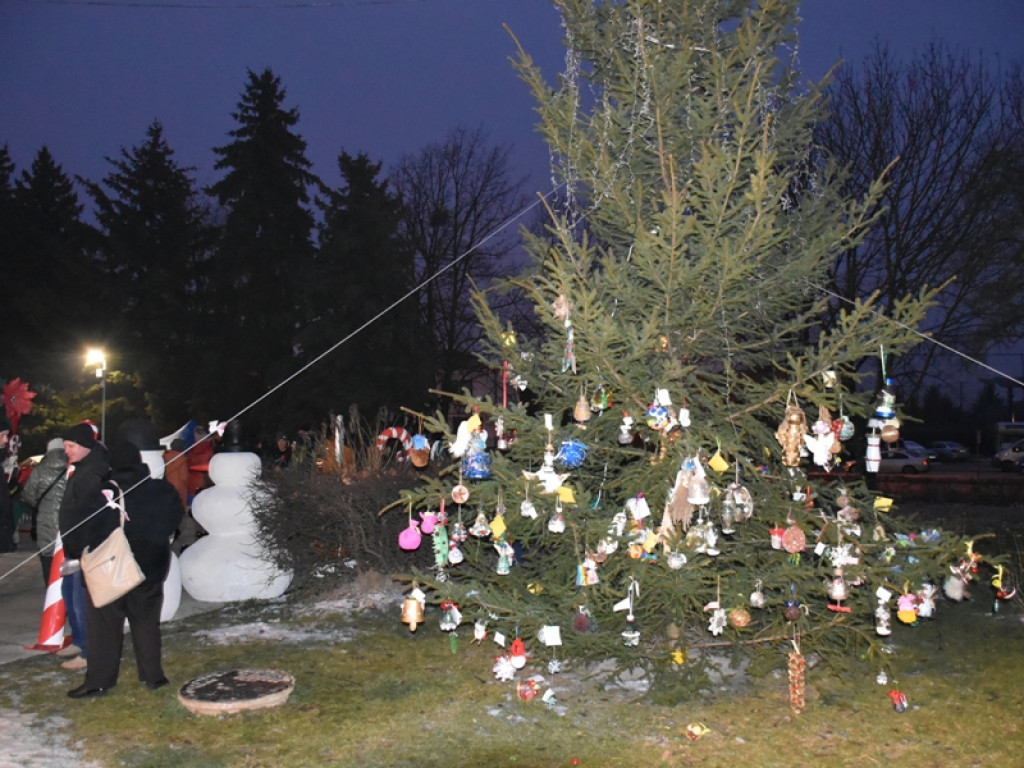 Sandomierz. Wspólne ubieranie choinki, Mikołaj oraz kramy z rękodziełem i smakołykami [zdjęcia]