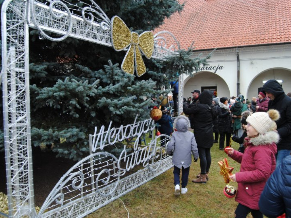 Jarmark Bożonarodzeniowy i ubieranie choinek na staszowskim rynku [zdjęcia]