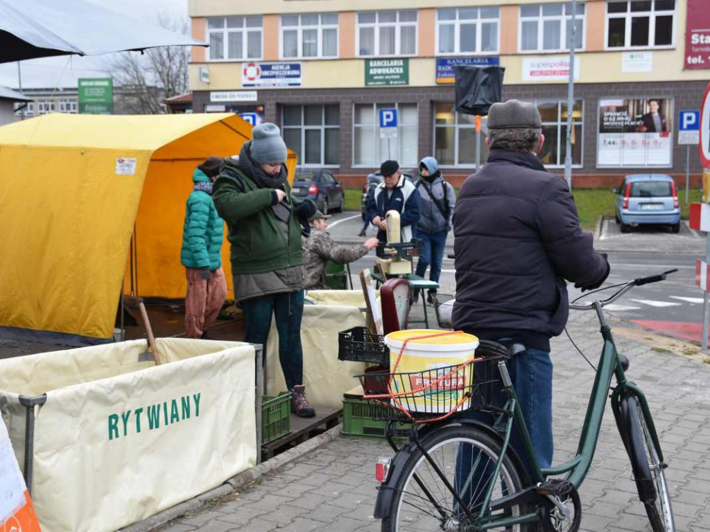 Ceny ryb w górę. W Tarnobrzegu ruszyła sprzedaż karpia na święta [zdjęcia]