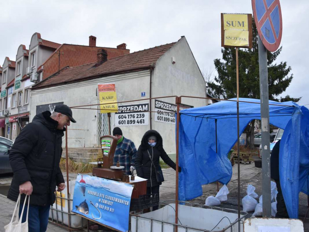 Ceny ryb w górę. W Tarnobrzegu ruszyła sprzedaż karpia na święta [zdjęcia]