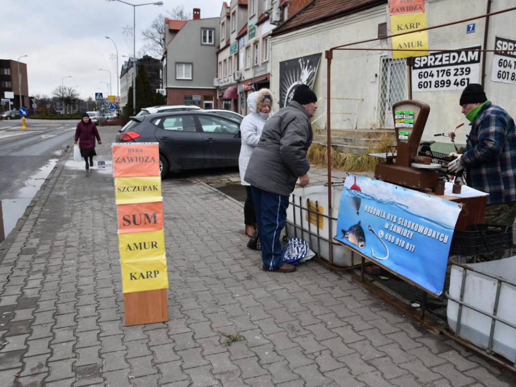 Ceny ryb w górę. W Tarnobrzegu ruszyła sprzedaż karpia na święta [zdjęcia]