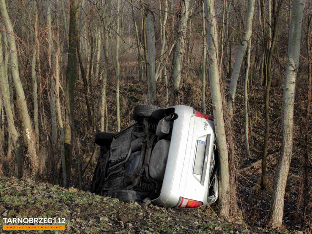 Tarnobrzeg. Na Wisłostradzie samochód zjechał z drogi i uderzył w drzewa. Kierująca trafiła do szpitala [zdjęcia]