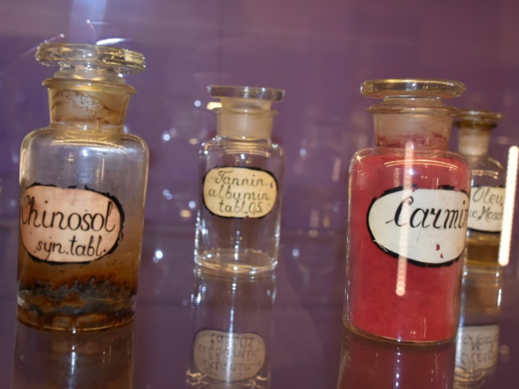 Muzeum Zamkowe w Sandomierzu pochwaliło się swoimi nabytkami [zdjęcia]