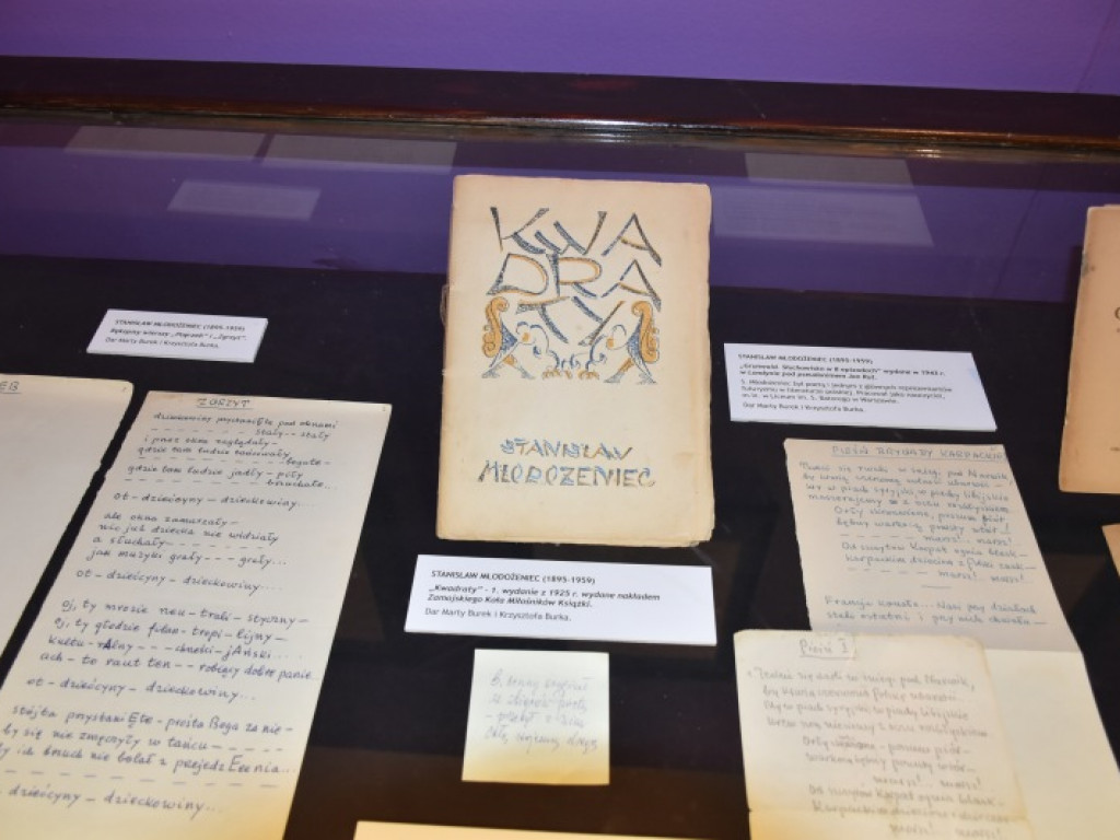 Muzeum Zamkowe w Sandomierzu pochwaliło się swoimi nabytkami [zdjęcia]