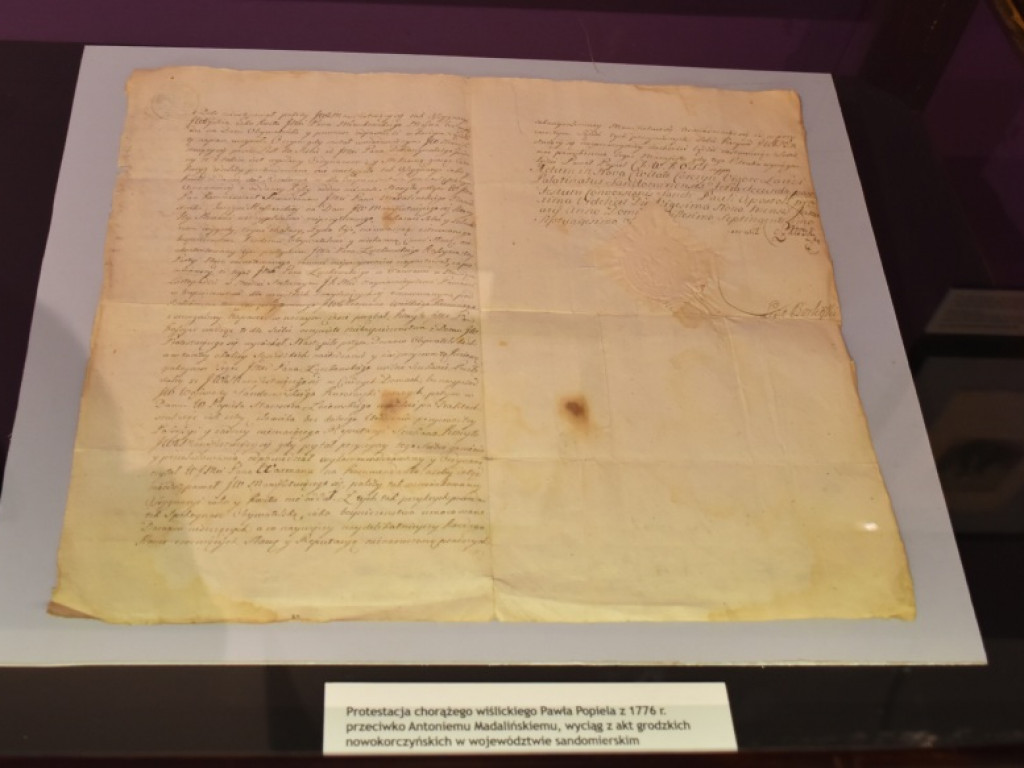 Muzeum Zamkowe w Sandomierzu pochwaliło się swoimi nabytkami [zdjęcia]