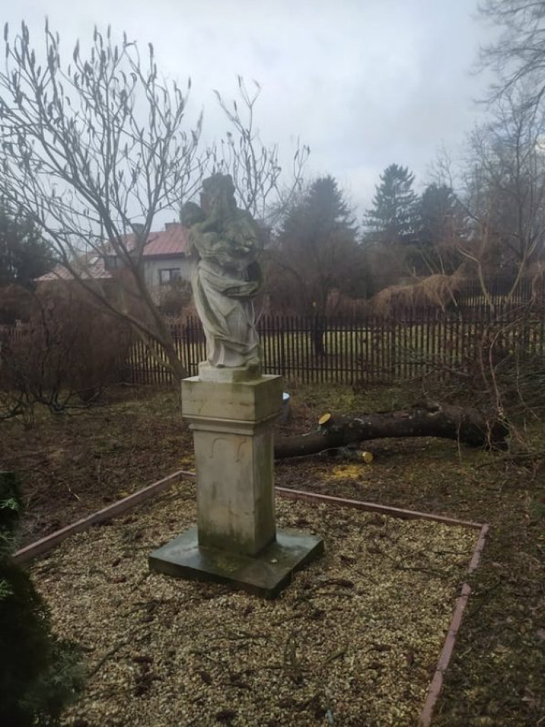 Wciąż mocno wieje. W Sandomierzu spadający konar uszkodził zabytkową figurę. Strażacy interweniowali też w innych gminach [zdjęcia]