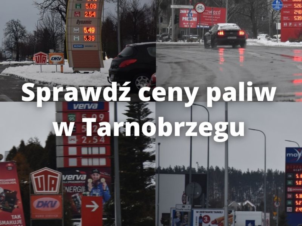 Sprawdź ceny paliw w Tarnobrzegu [zdjęcia]