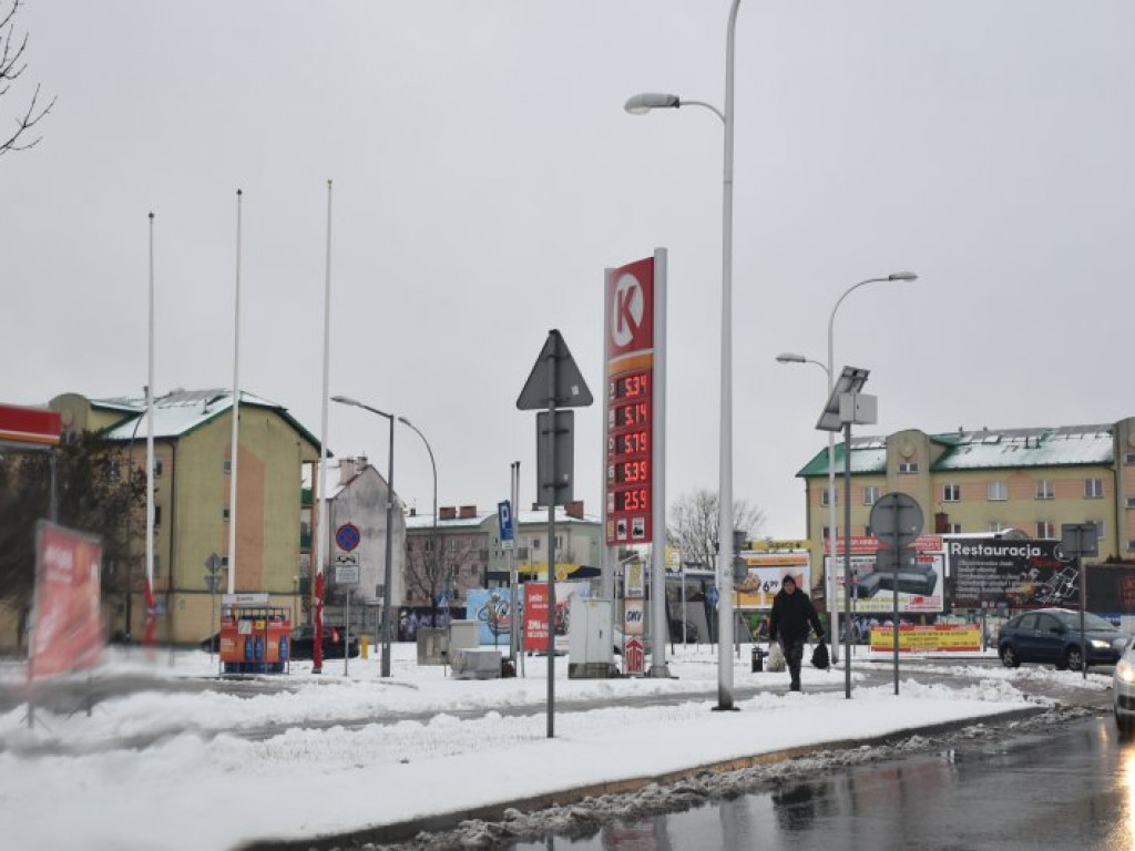 Sprawdź ceny paliw w Tarnobrzegu [zdjęcia]