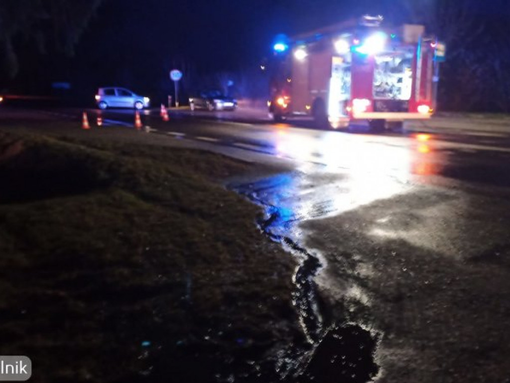 Pożar auta na drodze Tarnobrzeg - Mielec [zdjęcia]