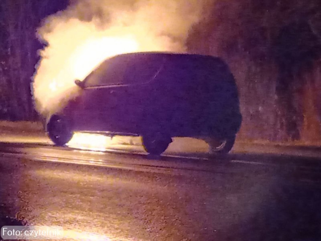 Pożar auta na drodze Tarnobrzeg - Mielec [zdjęcia]