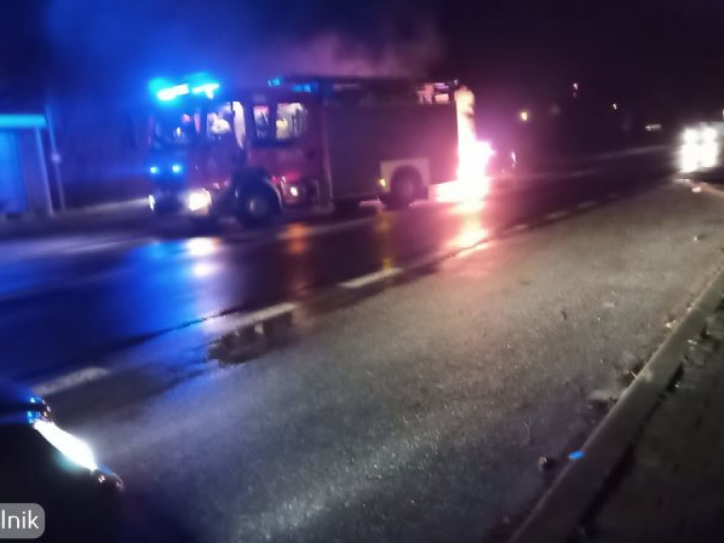 Pożar auta na drodze Tarnobrzeg - Mielec [zdjęcia]