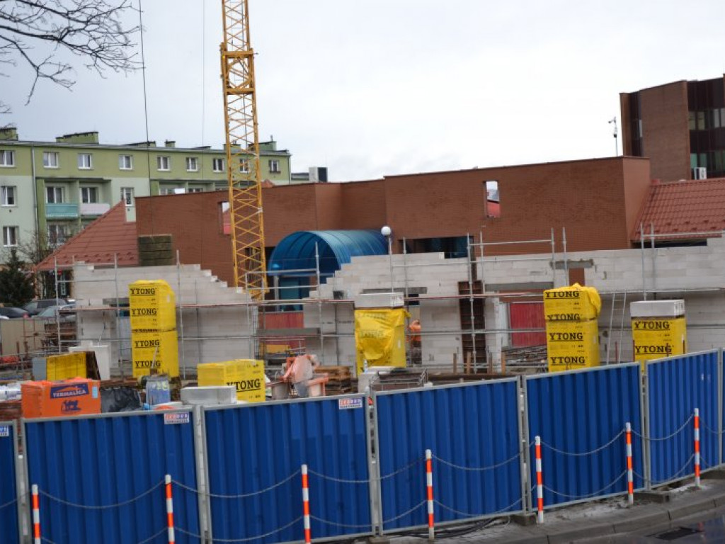 Tarnobrzeg. Nowy Dzikowiak pnie się do góry [zdjęcia]