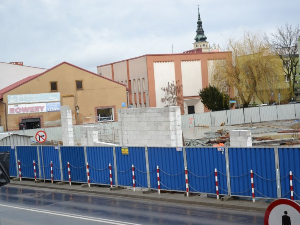 Tarnobrzeg. Nowy Dzikowiak pnie się do góry [zdjęcia]