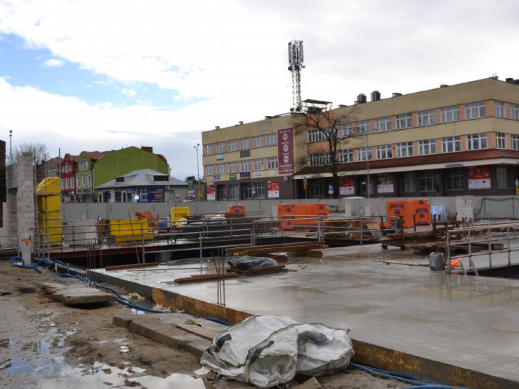 Tarnobrzeg. Nowy Dzikowiak pnie się do góry [zdjęcia]