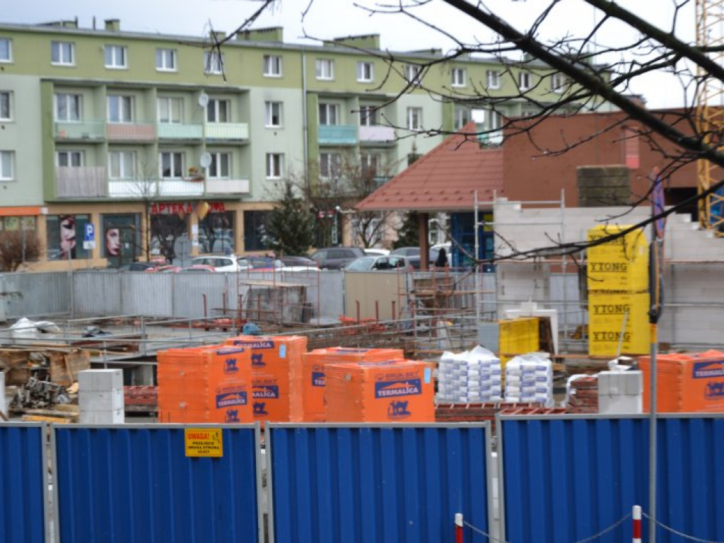 Tarnobrzeg. Nowy Dzikowiak pnie się do góry [zdjęcia]