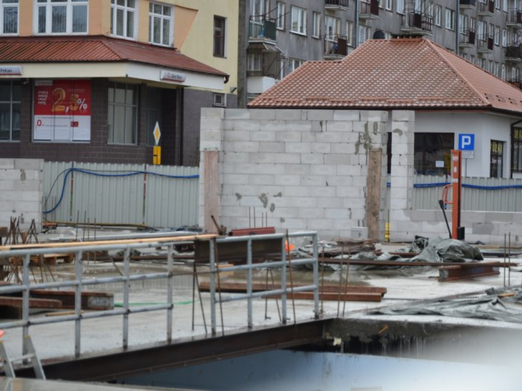 Tarnobrzeg. Nowy Dzikowiak pnie się do góry [zdjęcia]