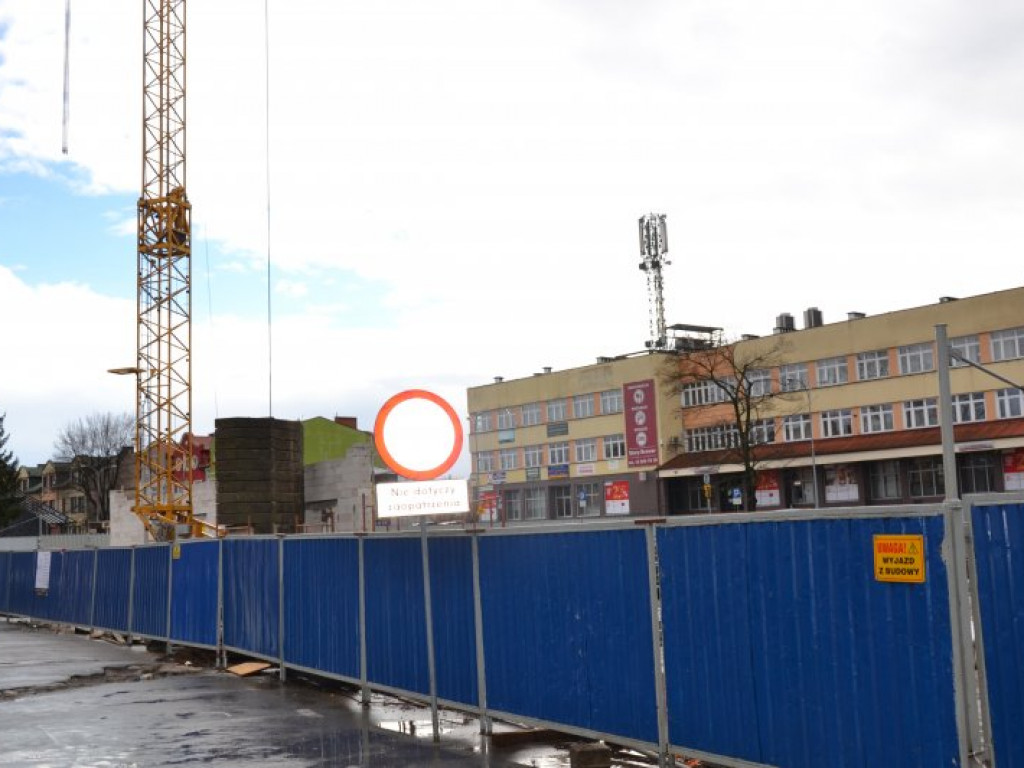 Tarnobrzeg. Nowy Dzikowiak pnie się do góry [zdjęcia]