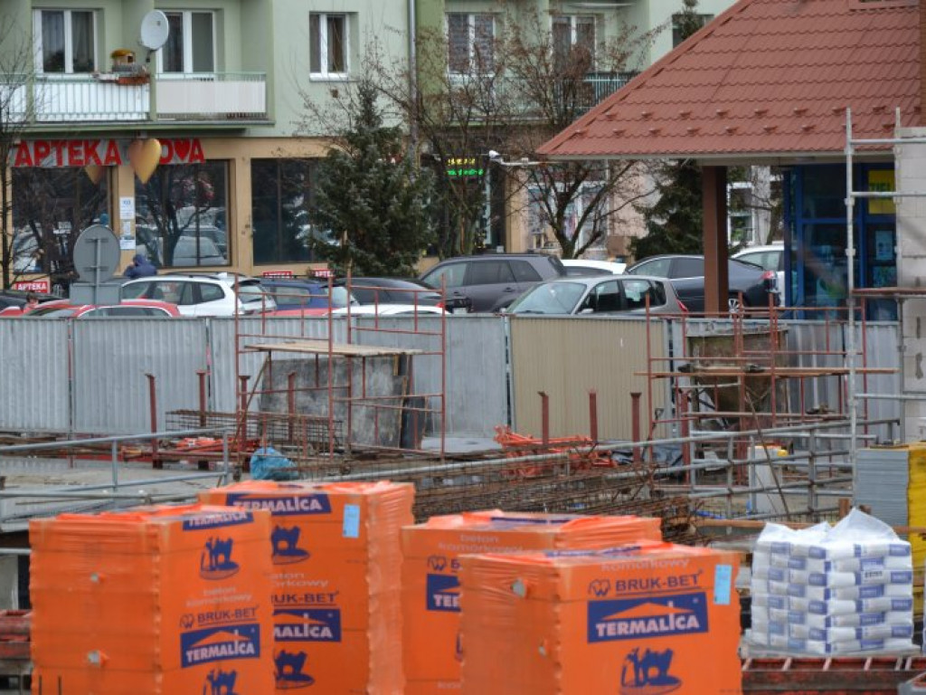 Tarnobrzeg. Nowy Dzikowiak pnie się do góry [zdjęcia]
