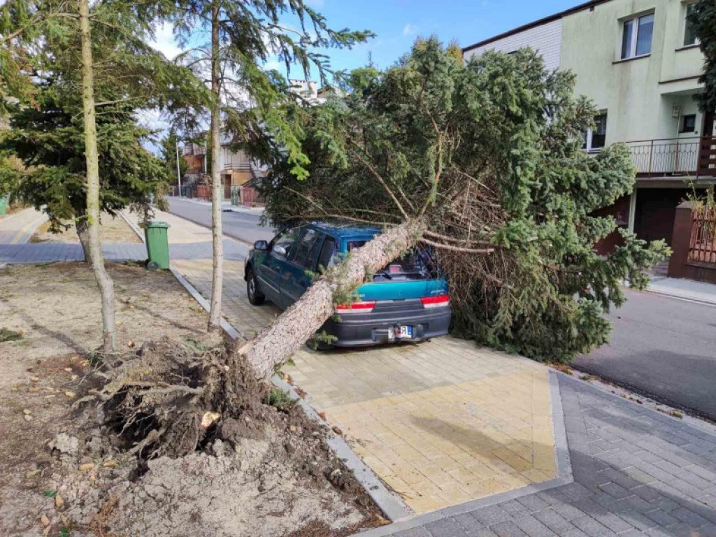 Tarnobrzeg. Zobacz skutki szalejącej wichury [zdjęcia]