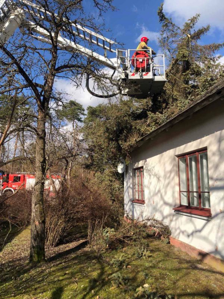 Tarnobrzeg. Zobacz skutki szalejącej wichury [zdjęcia]