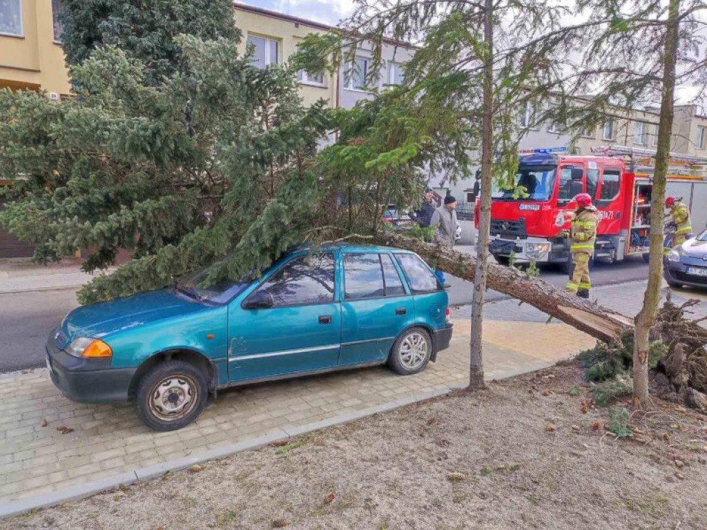Tarnobrzeg. Zobacz skutki szalejącej wichury [zdjęcia]