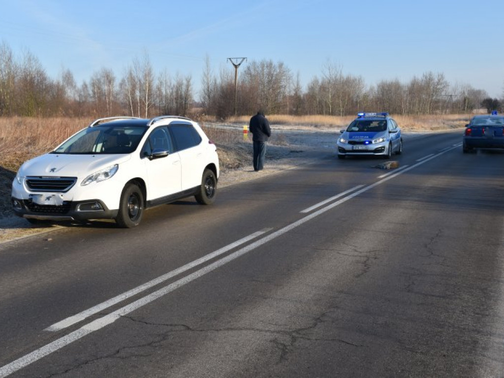 Poranne zderzenie z sarną na drodze Tarnobrzeg - Chmielów [zdjęcia]