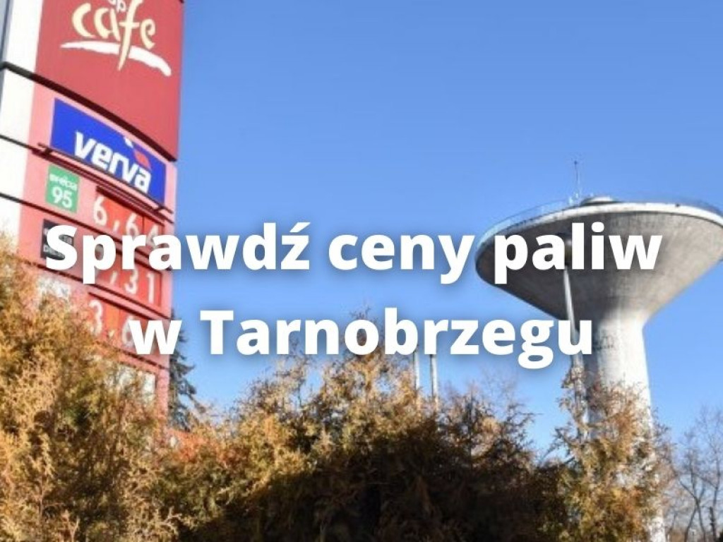 Ceny na stacjach poszły w dół. Ile zapłacimy dziś za paliwo w Tarnobrzegu? [zdjęcia]