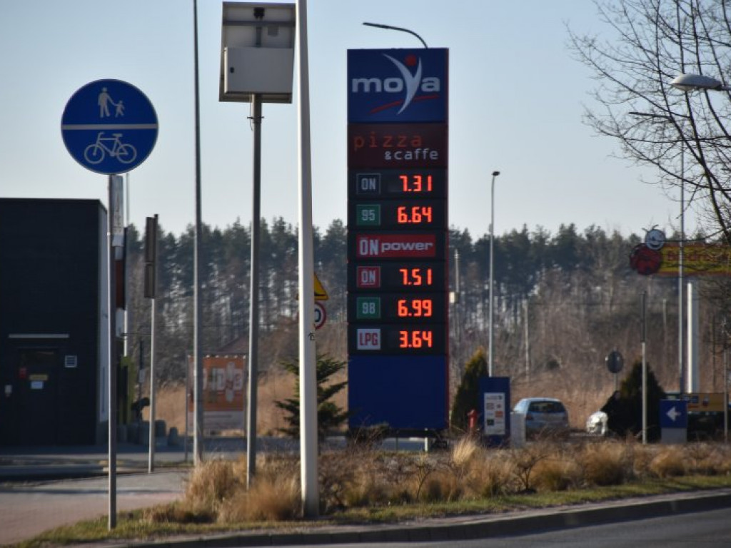 Ceny na stacjach poszły w dół. Ile zapłacimy dziś za paliwo w Tarnobrzegu? [zdjęcia]