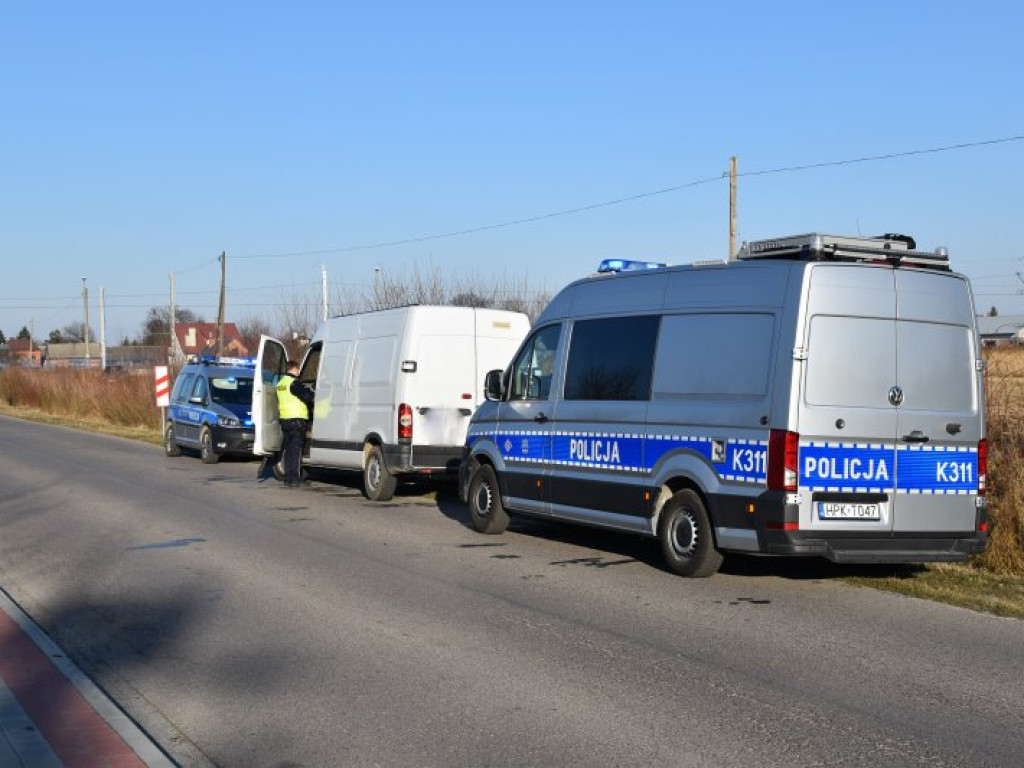 Zderzenie busa z jeleniem między Rozalinem i Tarnowską Wolą (gm. Nowa Dęba) [zdjęcia]