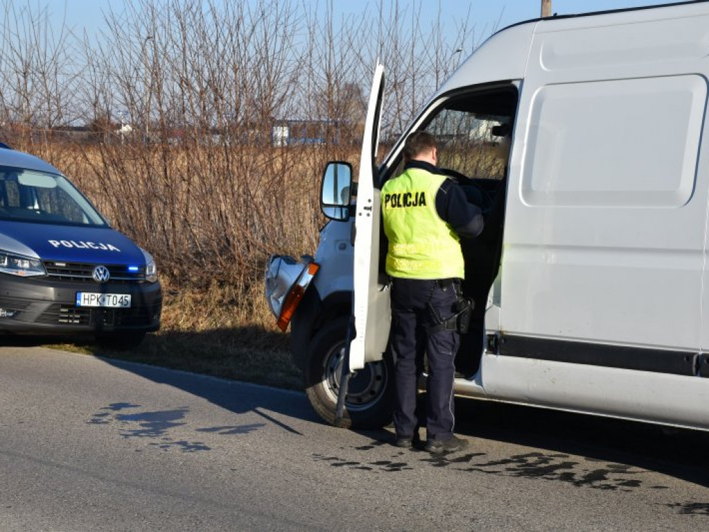 Zderzenie busa z jeleniem między Rozalinem i Tarnowską Wolą (gm. Nowa Dęba) [zdjęcia]