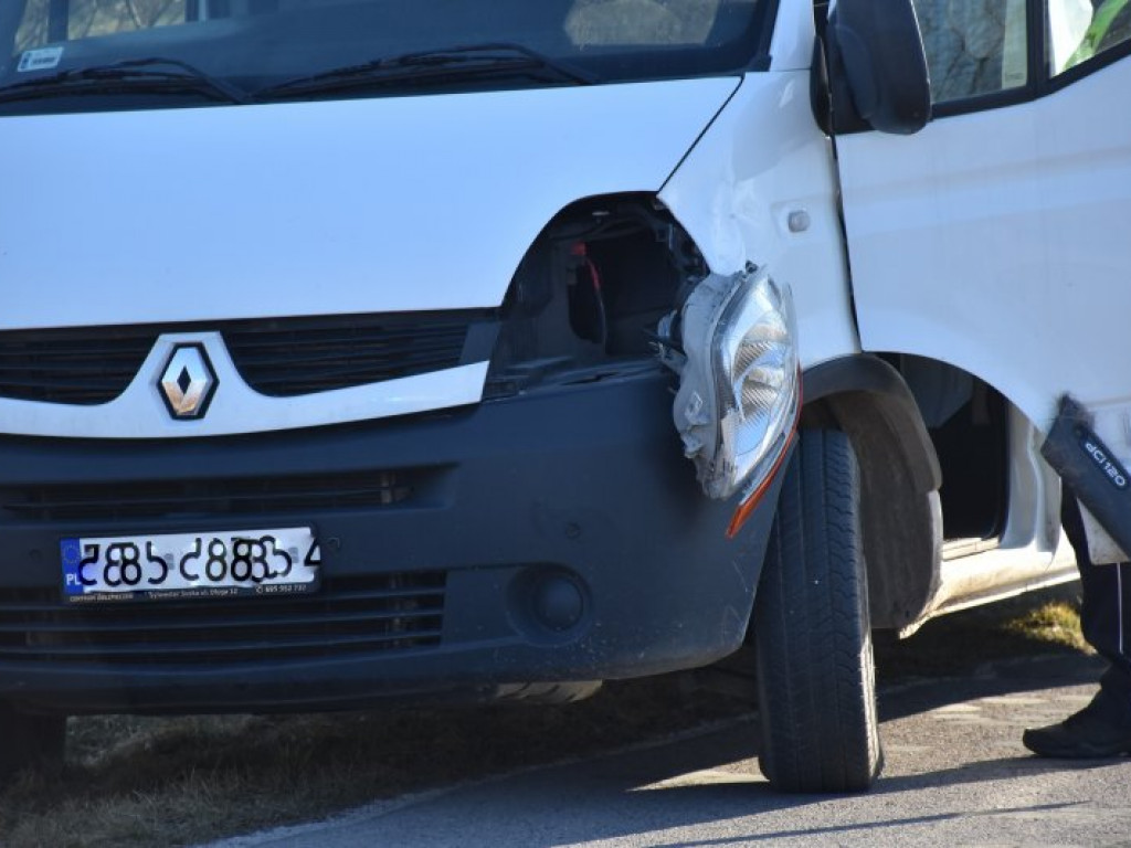 Zderzenie busa z jeleniem między Rozalinem i Tarnowską Wolą (gm. Nowa Dęba) [zdjęcia]