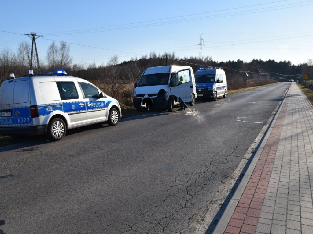 Zderzenie busa z jeleniem między Rozalinem i Tarnowską Wolą (gm. Nowa Dęba) [zdjęcia]