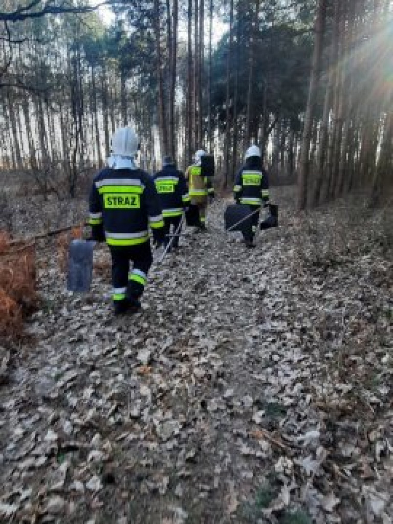 Potężny pożar w gminie Grębów. Użyto samolotu gaśniczego [zdjęcia]