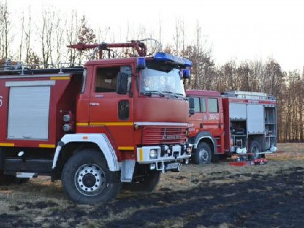 Potężny pożar w gminie Grębów. Użyto samolotu gaśniczego [zdjęcia]