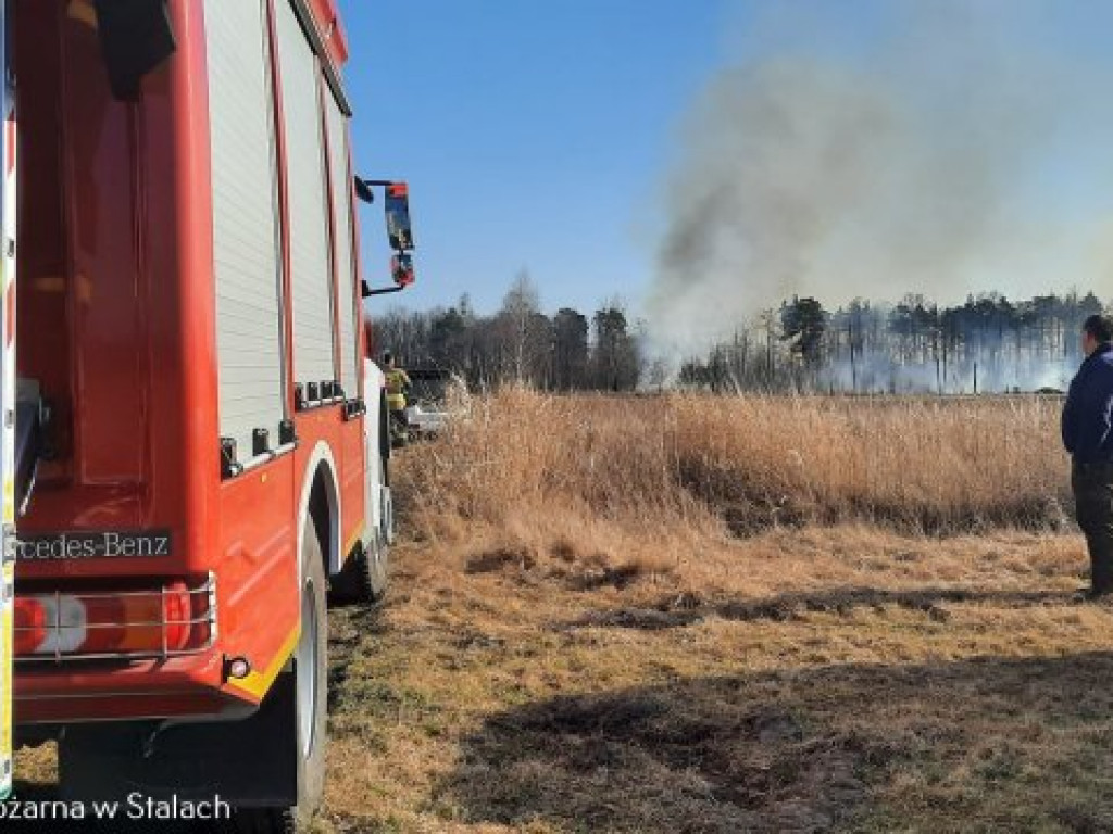 Potężny pożar w gminie Grębów. Użyto samolotu gaśniczego [zdjęcia]