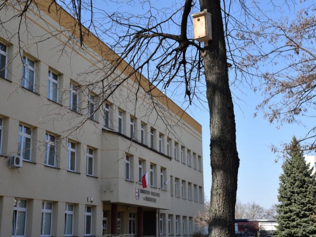 Przed starostwem w Tarnobrzegu pojawiły się budki dla ptaków [zdjęcia]