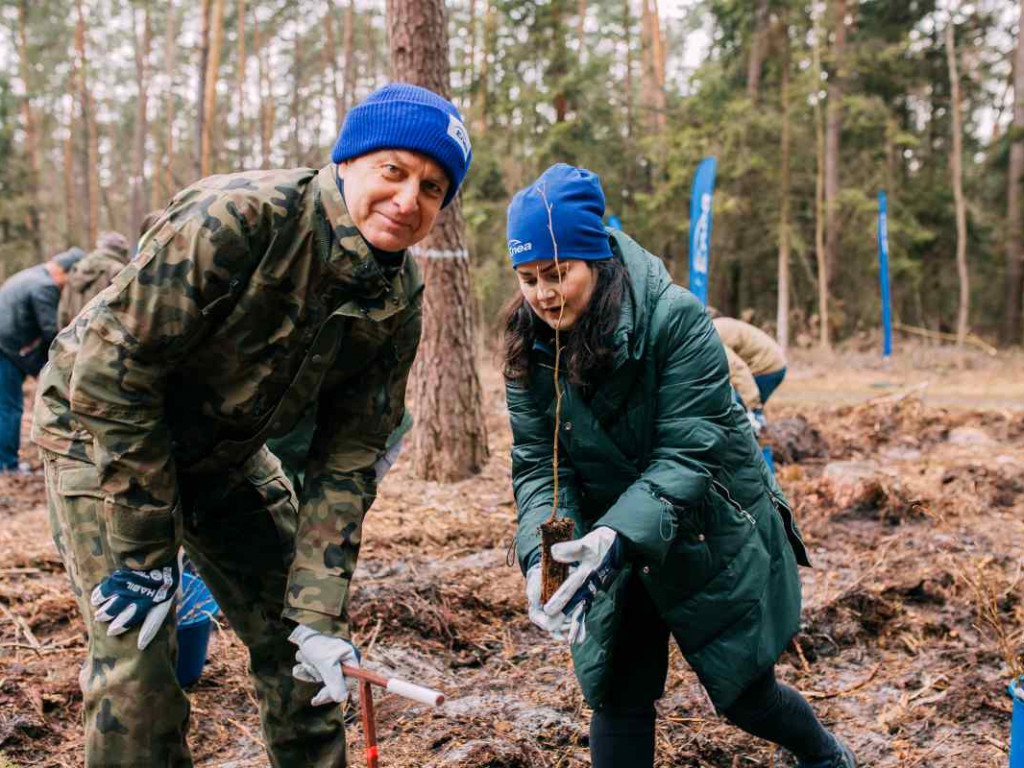 Wolontariusze zasadzili sześć tysięcy drzewek bukowych [zdjęcia]