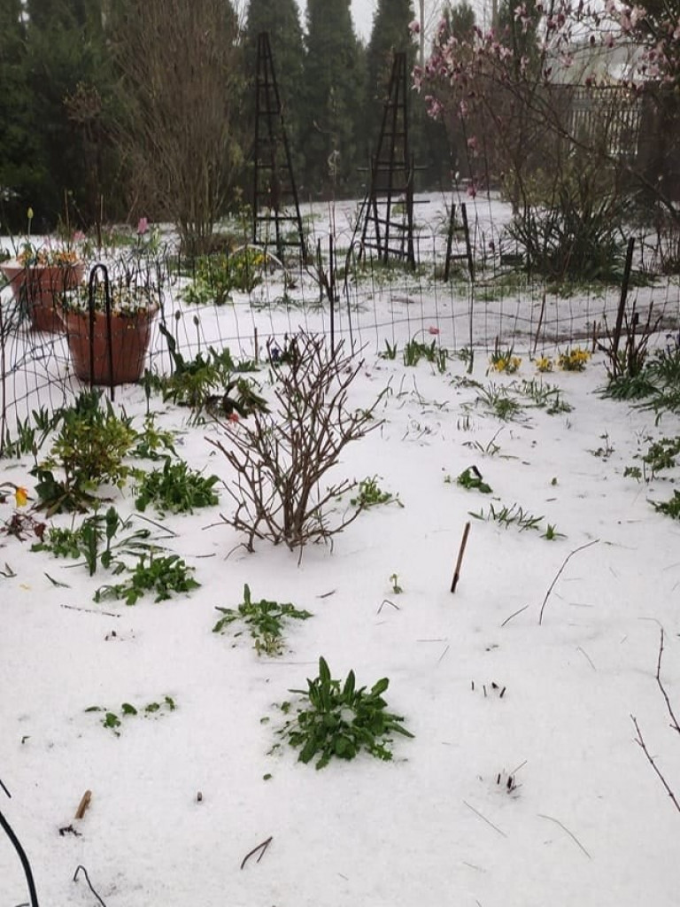 Gradobicie i ulewa nad gminą Zawichost. Zalane drogi i posesje [zdjęcia]