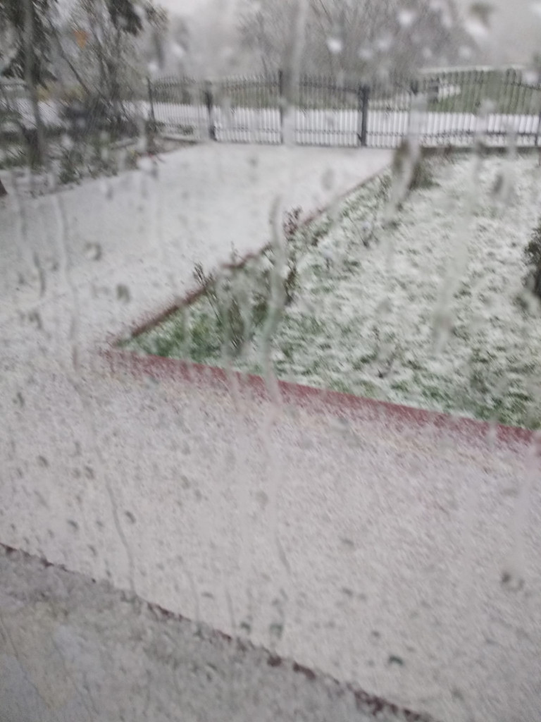Gradobicie i ulewa nad gminą Zawichost. Zalane drogi i posesje [zdjęcia]
