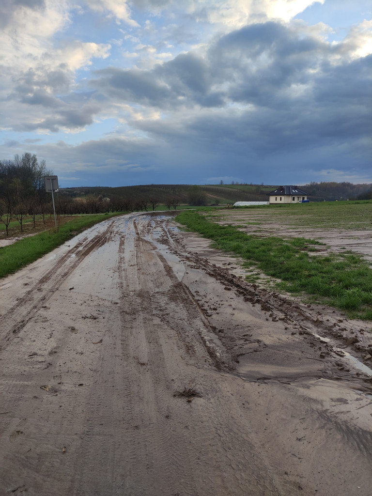 Gradobicie i ulewa nad gminą Zawichost. Zalane drogi i posesje [zdjęcia]
