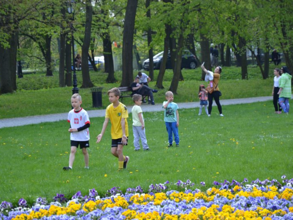 Pobiegli w parku dzikowskim razem z amerykańskim wojskiem [zdjęcia]